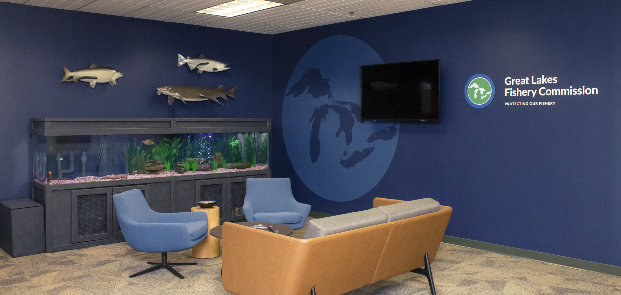 Interior space with GLFC logo & 3D fish on dark blue wall