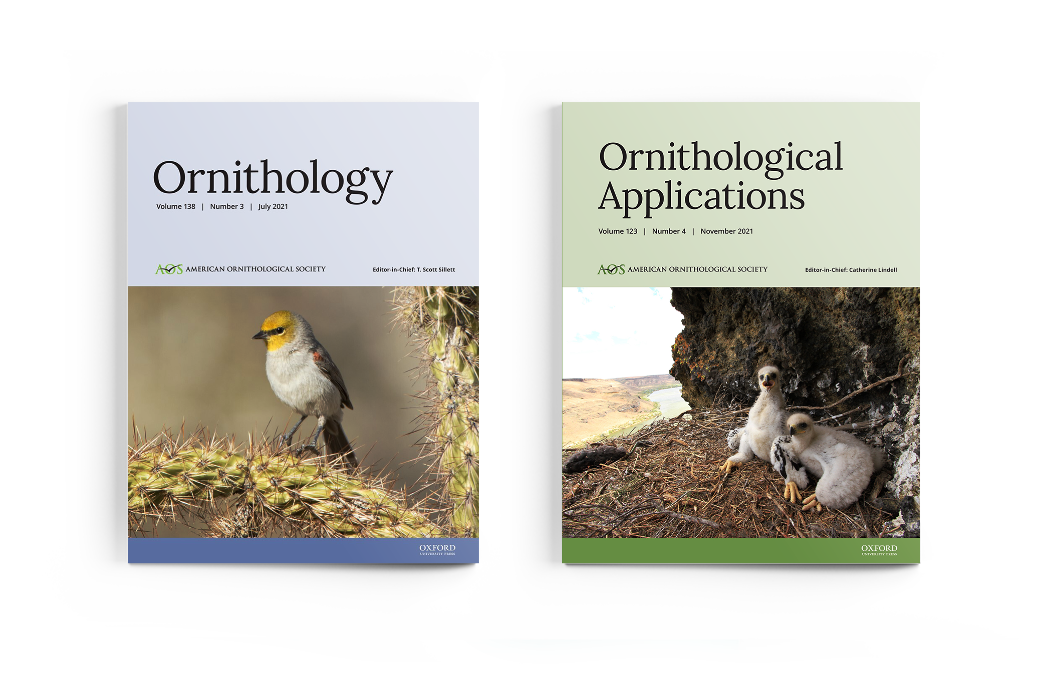 Ornithology and Ornithological Applications journal covers